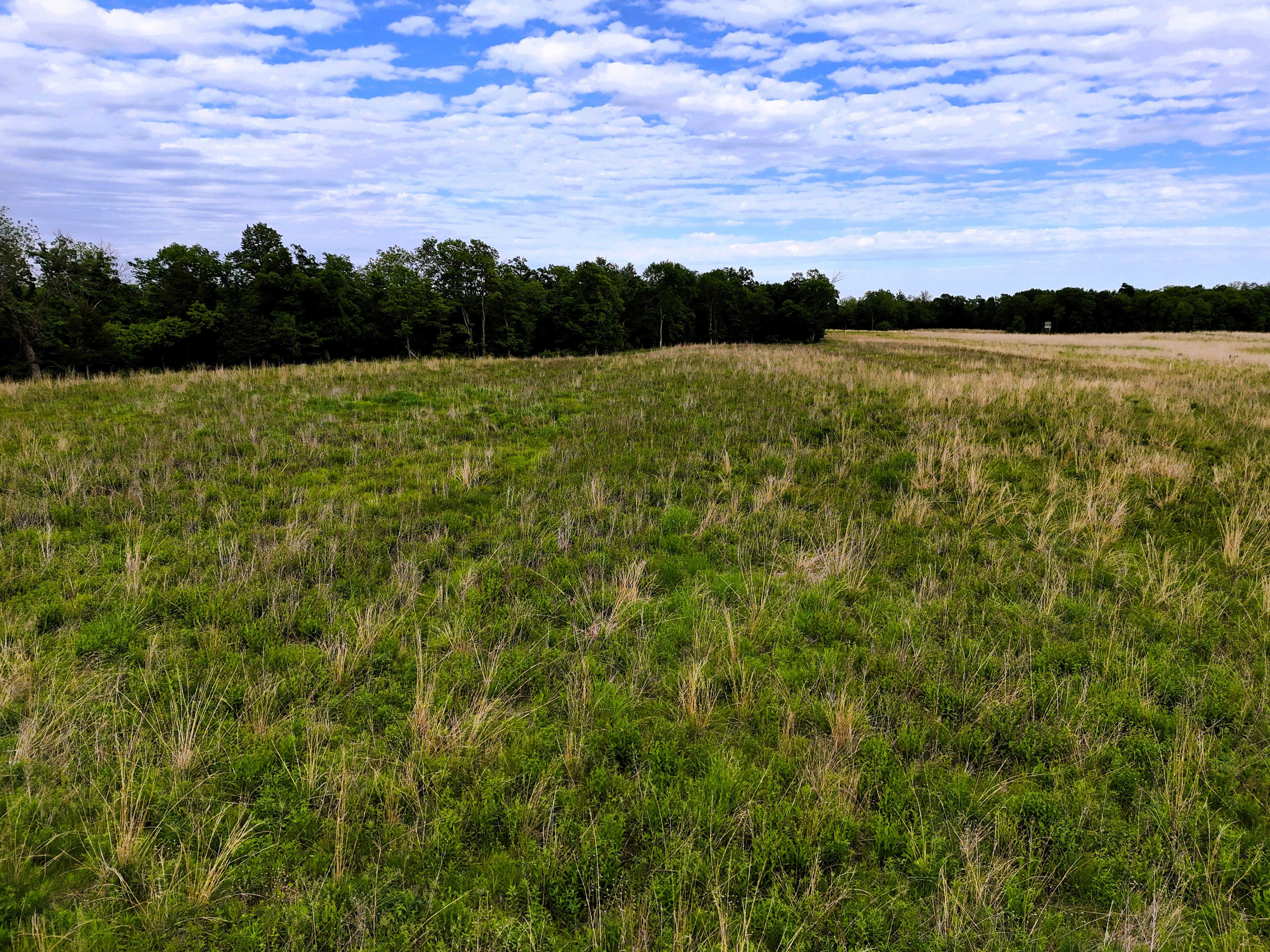 Listing Photo: Ground 1